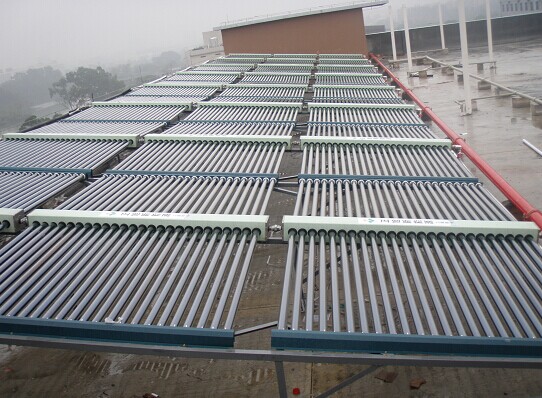 1733736244616764.jpg 1.jpg